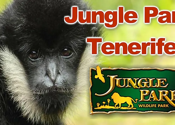 酒店 La 圣克鲁斯-德特内里费